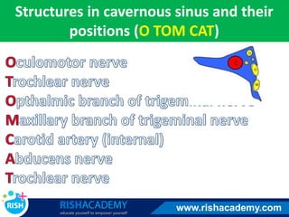 Structures in cavernous sinus and their
positions (O TOM CAT)
www.rishacademy.com
 