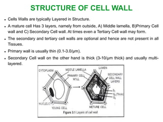 Anatomy Module 1 - cells and tissues.pdf