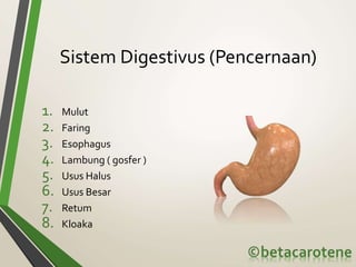 Sistem Digestivus (Pencernaan)
1. Mulut
2. Faring
3. Esophagus
4. Lambung ( gosfer )
5. Usus Halus
6. Usus Besar
7. Retum
8. Kloaka
 
