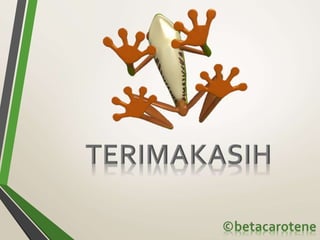 AMPHIBIA - MORPHOLOGY AND ANATOMY