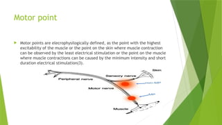anatomy muscles and EMG.pptx by Seheli sinha for physiotherapy student ...