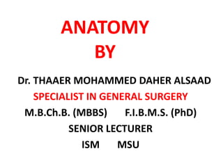 ANATOMYBY    Dr. THAAER MOHAMMED DAHER ALSAAD SPECIALIST IN GENERAL SURGERY M.B.Ch.B. (MBBS)       F.I.B.M.S. (PhD) SENIOR LECTURER ISM       MSU 