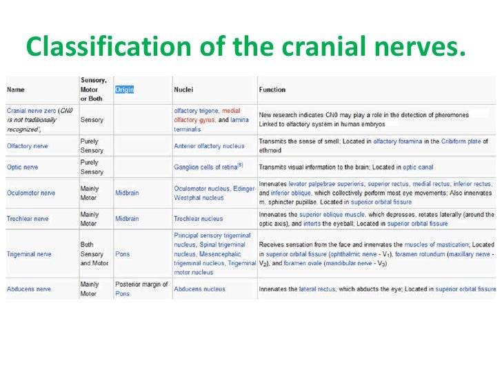 Cranial Nerves Function Chart