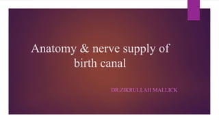 Anatomy & nerve supply of
birth canal
DR.ZIKRULLAH MALLICK
 