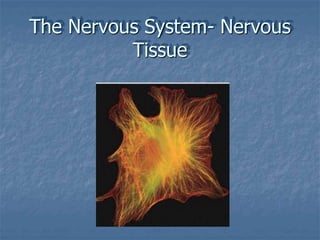 The Nervous System- Nervous
Tissue
 