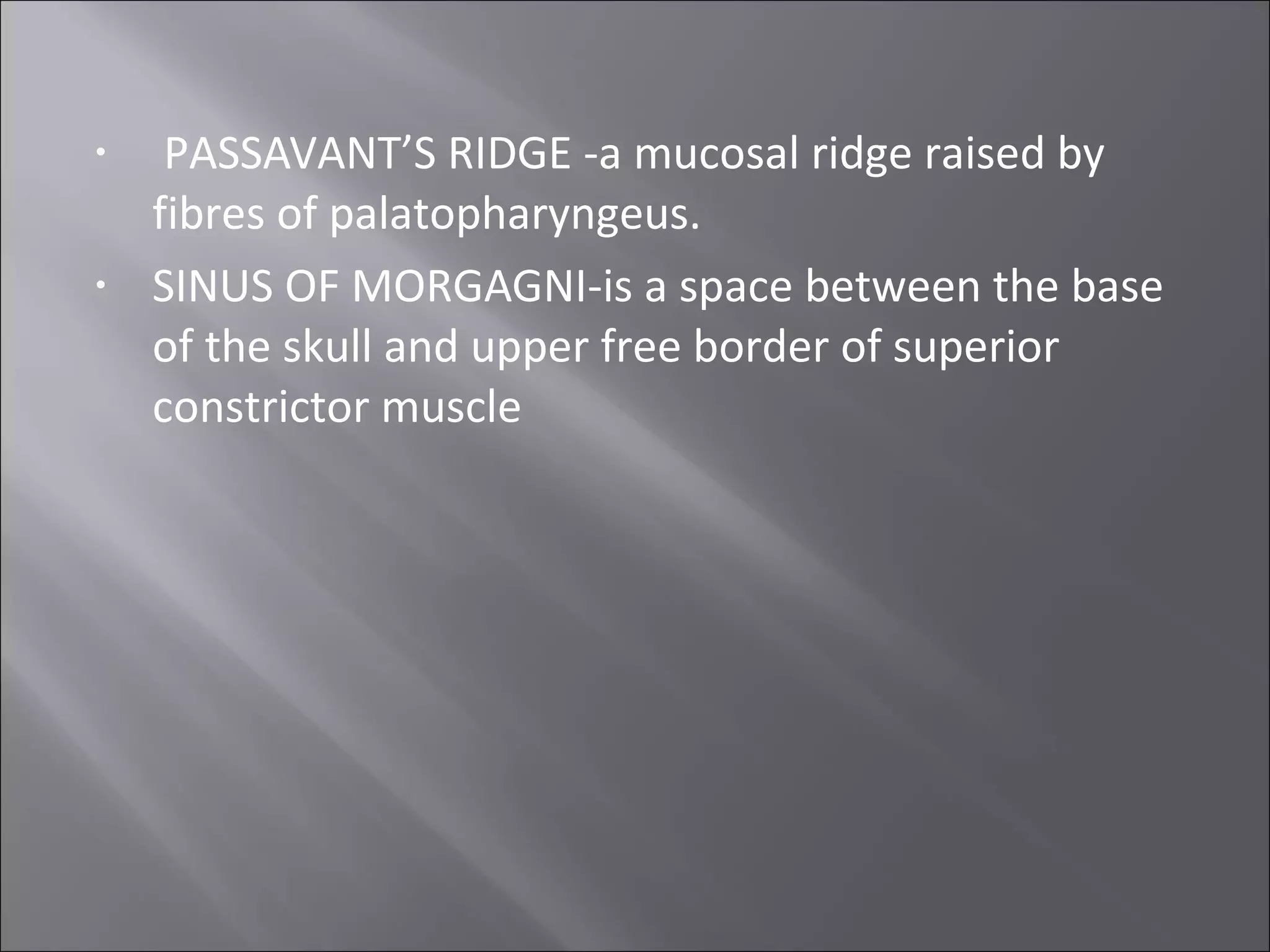Anatomy nose and nasopharynx r vignesh | PPT