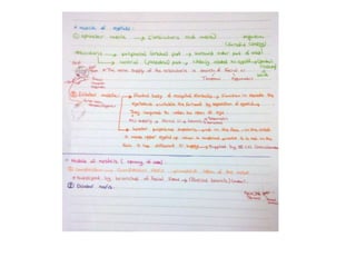 Anatomy notes