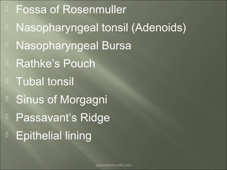 Anatomy n physiology of pharynx 03 | PPT