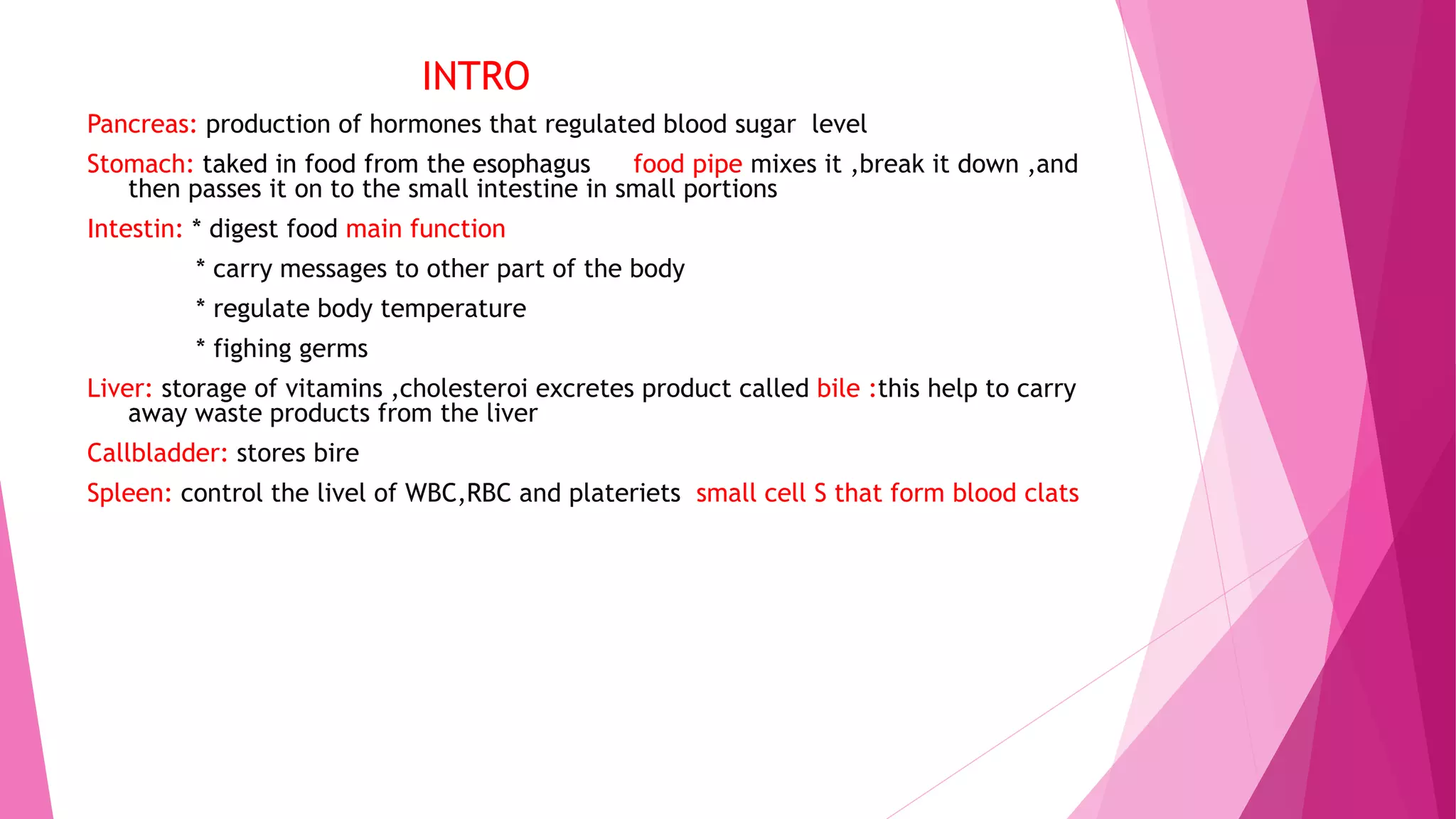 Anatomy of Abdomen.pptx