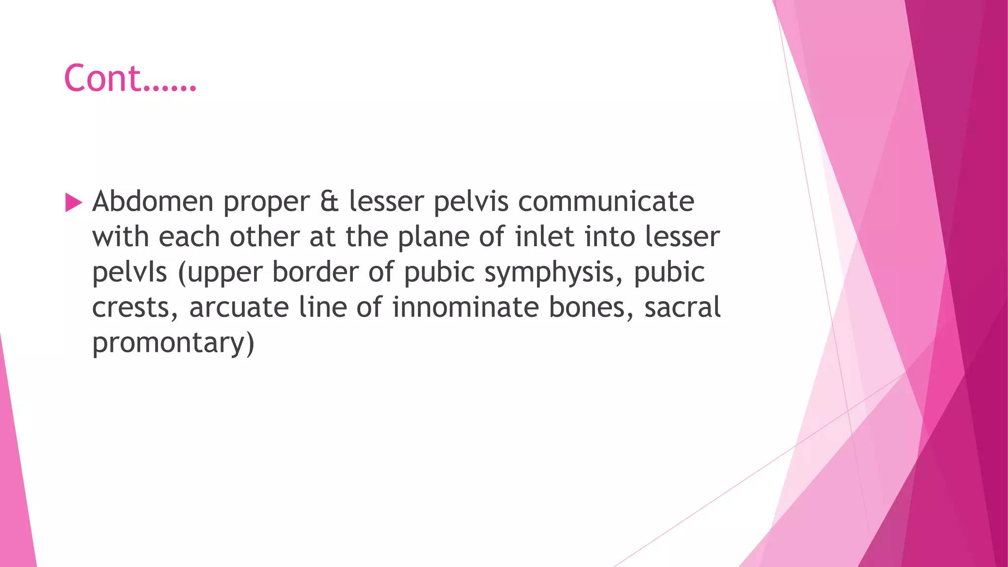 Anatomy of Abdomen.pptx