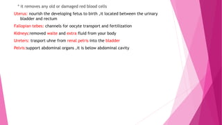* it removes any old or damaged red blood cells
Uterus: nourish the developing fetus to birth ,it located between the urinary
bladder and rectum
Fallopian tebes: channels for oocyte transport and fertilization
Kidneys:removed walte and extra fluid from your body
Ureters: trasport uhne from renal pelris into the bladder
Pelvis:support abdominal organs ,it is below abdominal cavity
 