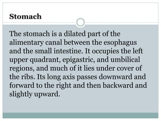 Stomach
The stomach is a dilated part of the
alimentary canal between the esophagus
and the small intestine. It occupies the left
upper quadrant, epigastric, and umbilical
regions, and much of it lies under cover of
the ribs. Its long axis passes downward and
forward to the right and then backward and
slightly upward.
 