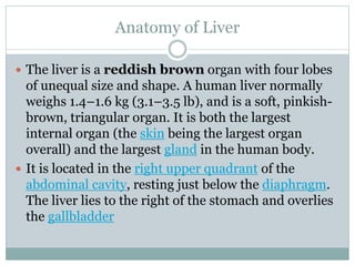 Anatomy of Liver
 The liver is a reddish brown organ with four lobes
of unequal size and shape. A human liver normally
weighs 1.4–1.6 kg (3.1–3.5 lb), and is a soft, pinkish-
brown, triangular organ. It is both the largest
internal organ (the skin being the largest organ
overall) and the largest gland in the human body.
 It is located in the right upper quadrant of the
abdominal cavity, resting just below the diaphragm.
The liver lies to the right of the stomach and overlies
the gallbladder
 
