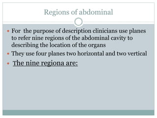 Regions of abdominal
 For the purpose of description clinicians use planes
to refer nine regions of the abdominal cavity to
describing the location of the organs
 They use four planes two horizontal and two vertical
 The nine regiona are:
 
