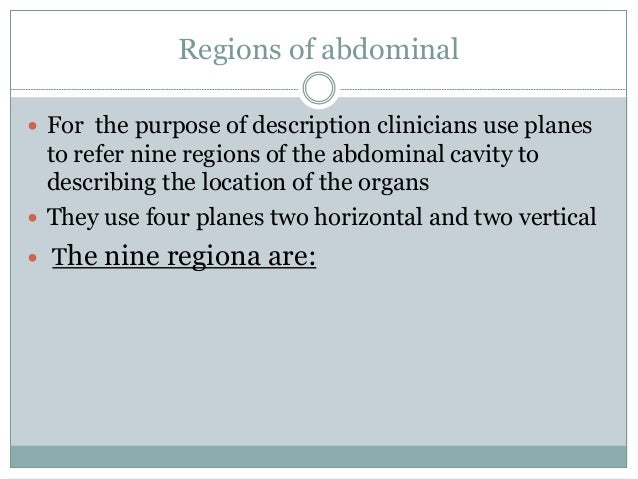 Anatomy Of Abdomen And Regions Of Trunk