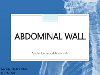 ABDOMINAL WALL
Anterior & posterior abdominal wall .
Work By : Elgilani Zaher
ID : 7221108
 