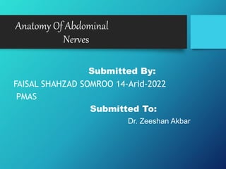 Anatomy Of Abdominal
Nerves
Submitted By:
FAISAL SHAHZAD SOMROO 14-Arid-2022
PMAS
Submitted To:
Dr. Zeeshan Akbar
 