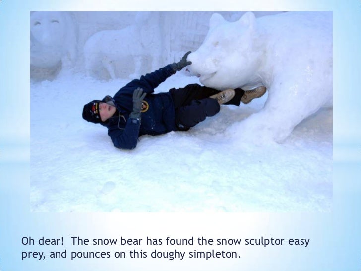 Anatomy of a Snow Bear Attack