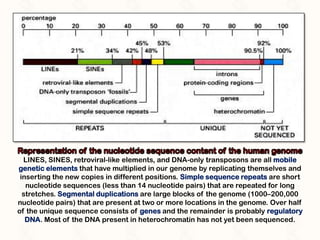 Repeat Gene Anatomy of a gene | PPTX