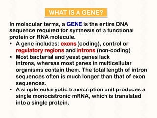 Anatomy of a gene | PPTX