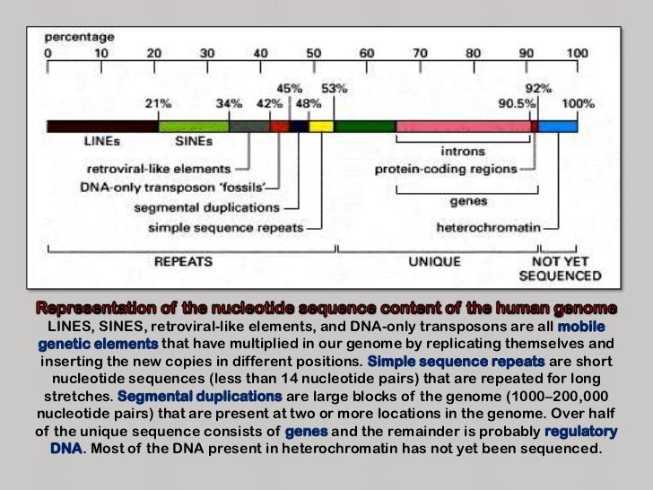 Anatomy Of Gene Fundamentals Of Genetics And Genomics In Oncology