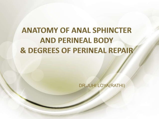 Anatomy of anal sphincter and perineal body Biology Diagrams