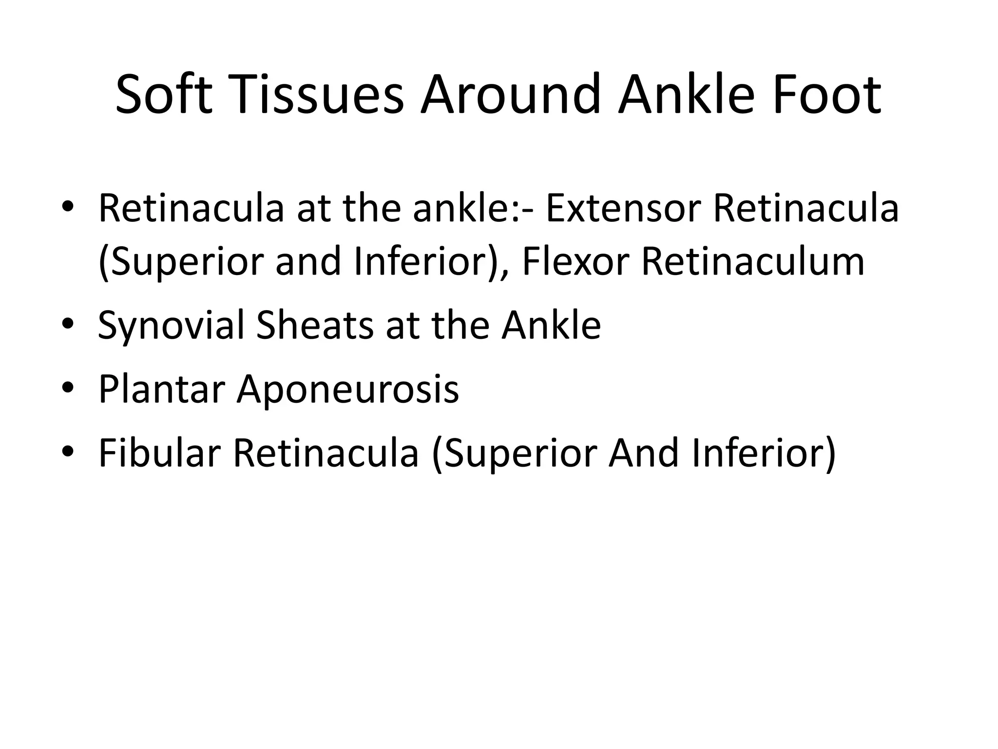 Anatomy of ankle and foot | PPSX