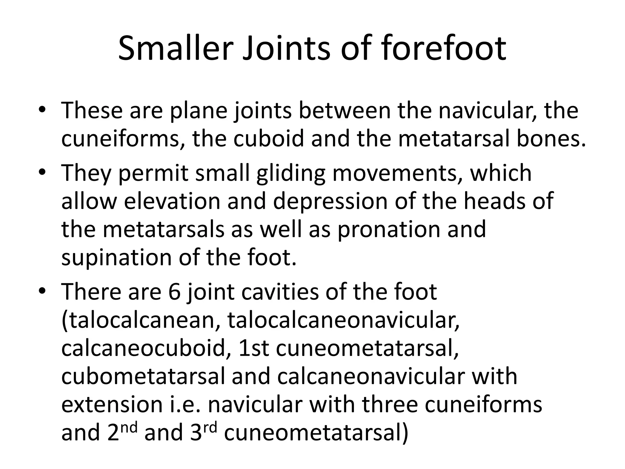 Anatomy of ankle and foot | PPSX