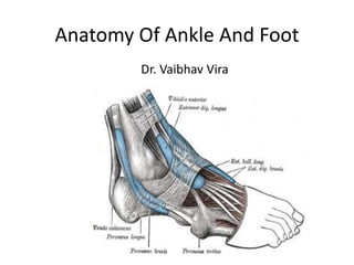 Anatomy Of Ankle And Foot
Dr. Vaibhav Vira
 