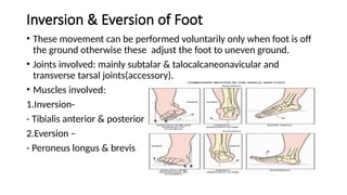 ANATOMY OF ANKLE AND FOOT clinical significance | PPTX