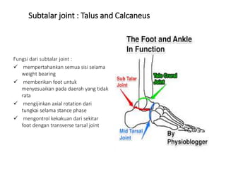 Subtalar Union Anatomy of ankle and foot fo | PPTX