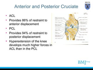Anatomy of anterior_cruciate_ligament | PPT