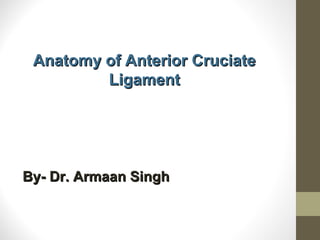 Anatomy of Anterior CruciateAnatomy of Anterior Cruciate
LigamentLigament
By- Dr. Armaan SinghBy- Dr. Armaan Singh
 