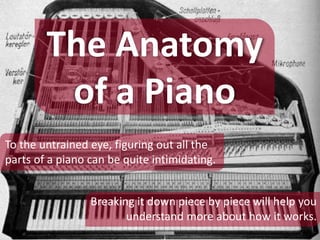 The Anatomy
of a Piano
To the untrained eye, figuring out all the
parts of a piano can be quite intimidating.
Breaking it down piece by piece will help you
understand more about how it works.
 