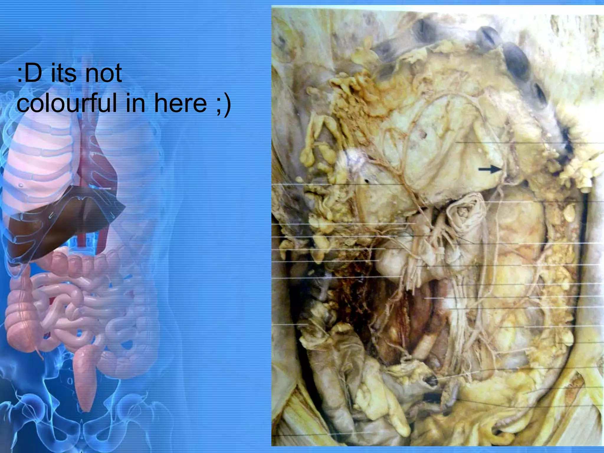 :D its not colourful in here ;) 