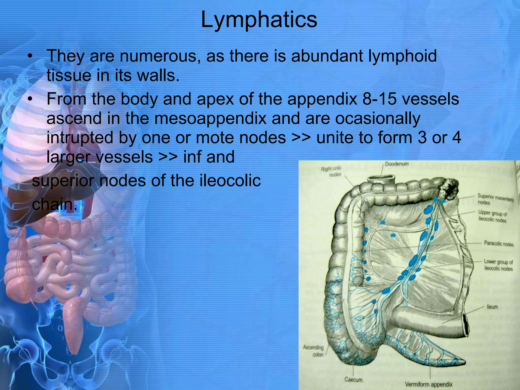 Lymphatics They are numerous, as there is abundant lymphoid tissue in its walls. From the body and apex of the appendix 8-15 vessels ascend in the mesoappendix and are ocasionally intrupted by one or mote nodes >> unite to form 3 or 4 larger vessels >> inf and superior nodes of the ileocolic chain. 