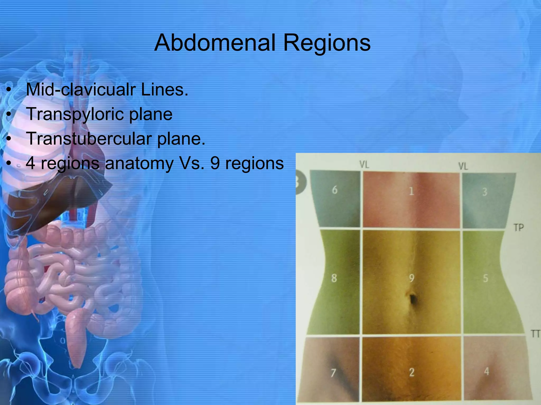 Abdomenal Regions Mid-clavicualr Lines. Transpyloric plane Transtubercular plane. 4 regions anatomy Vs. 9 regions 