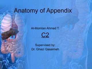 Anatomy of Appendix Al-Momtan Ahmed T. C2 Supervised by: Dr. Ghazi Qasaimeh 