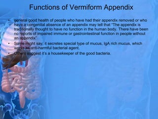 The Function Of Vermiform Appendix