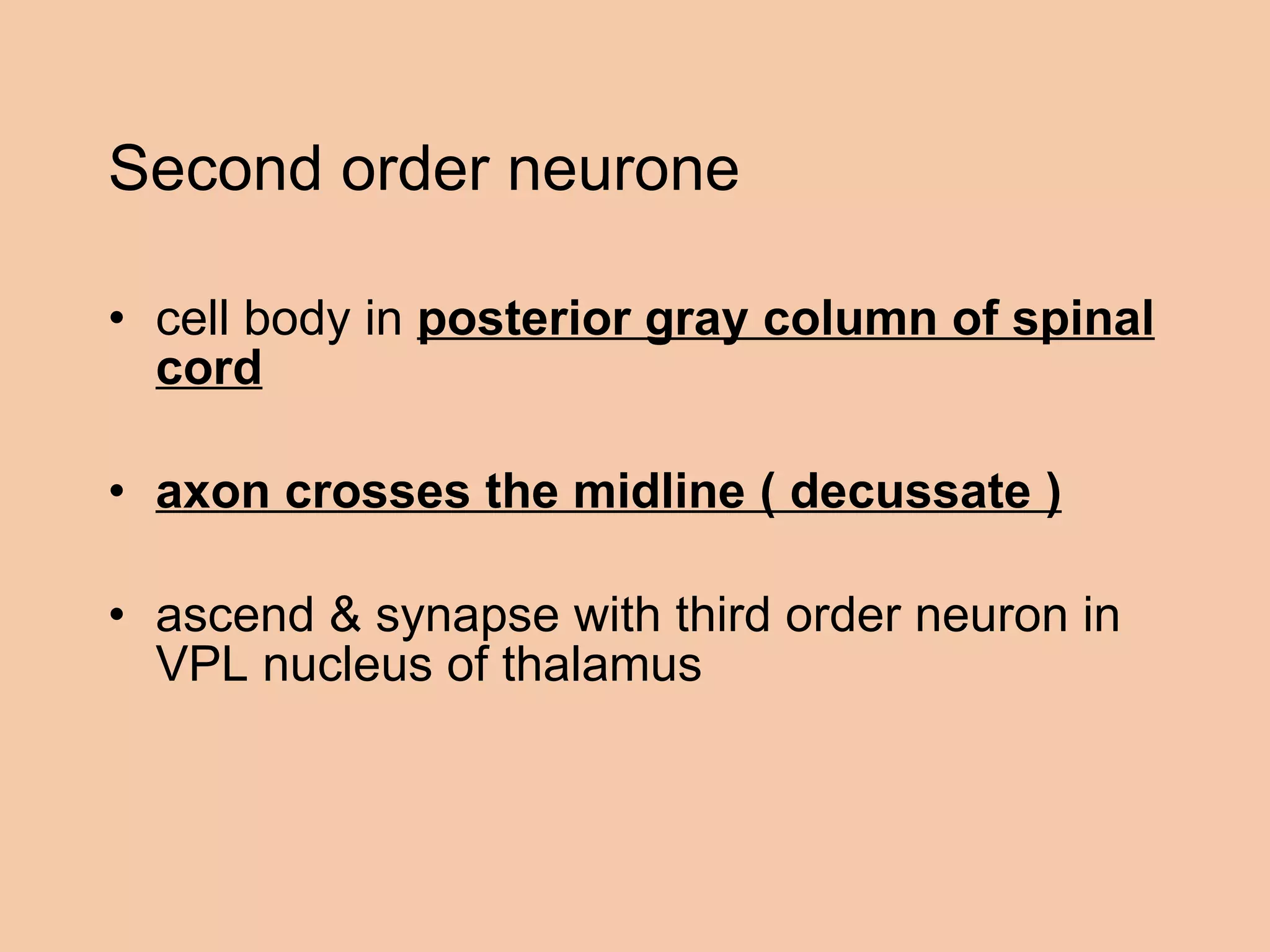 Second order neurone cell body in  posterior gray column of spinal cord axon crosses the midline ( decussate ) ascend & synapse with third order neuron in VPL nucleus of thalamus 