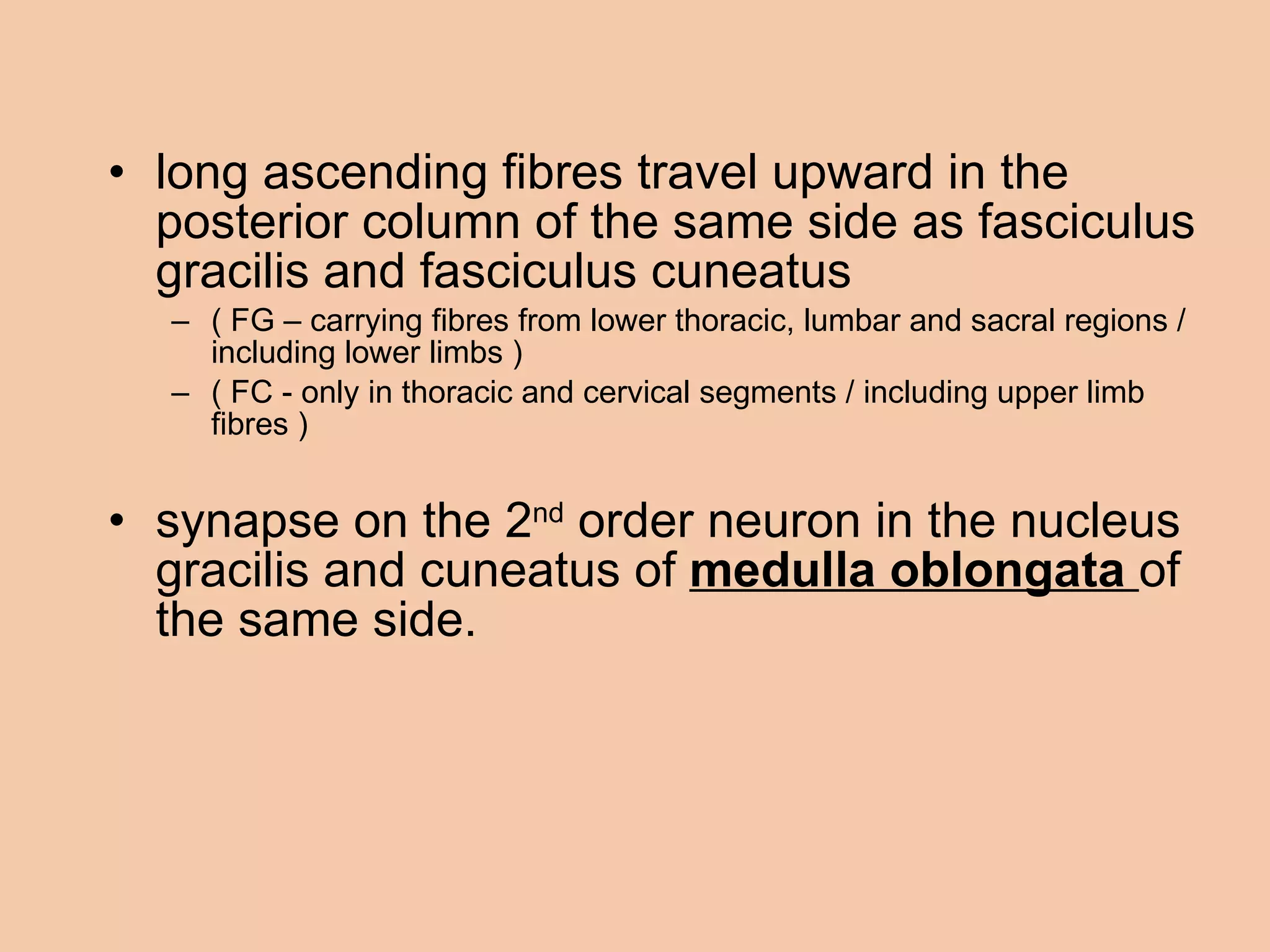 long ascending fibres travel upward in the posterior column of the same side as fasciculus gracilis and fasciculus cuneatus ( FG – carrying fibres from lower thoracic, lumbar and sacral regions / including lower limbs ) ( FC - only in thoracic and cervical segments / including upper limb fibres )  synapse on the 2 nd  order neuron in the nucleus gracilis and cuneatus of  medulla oblongata  of the same side. 