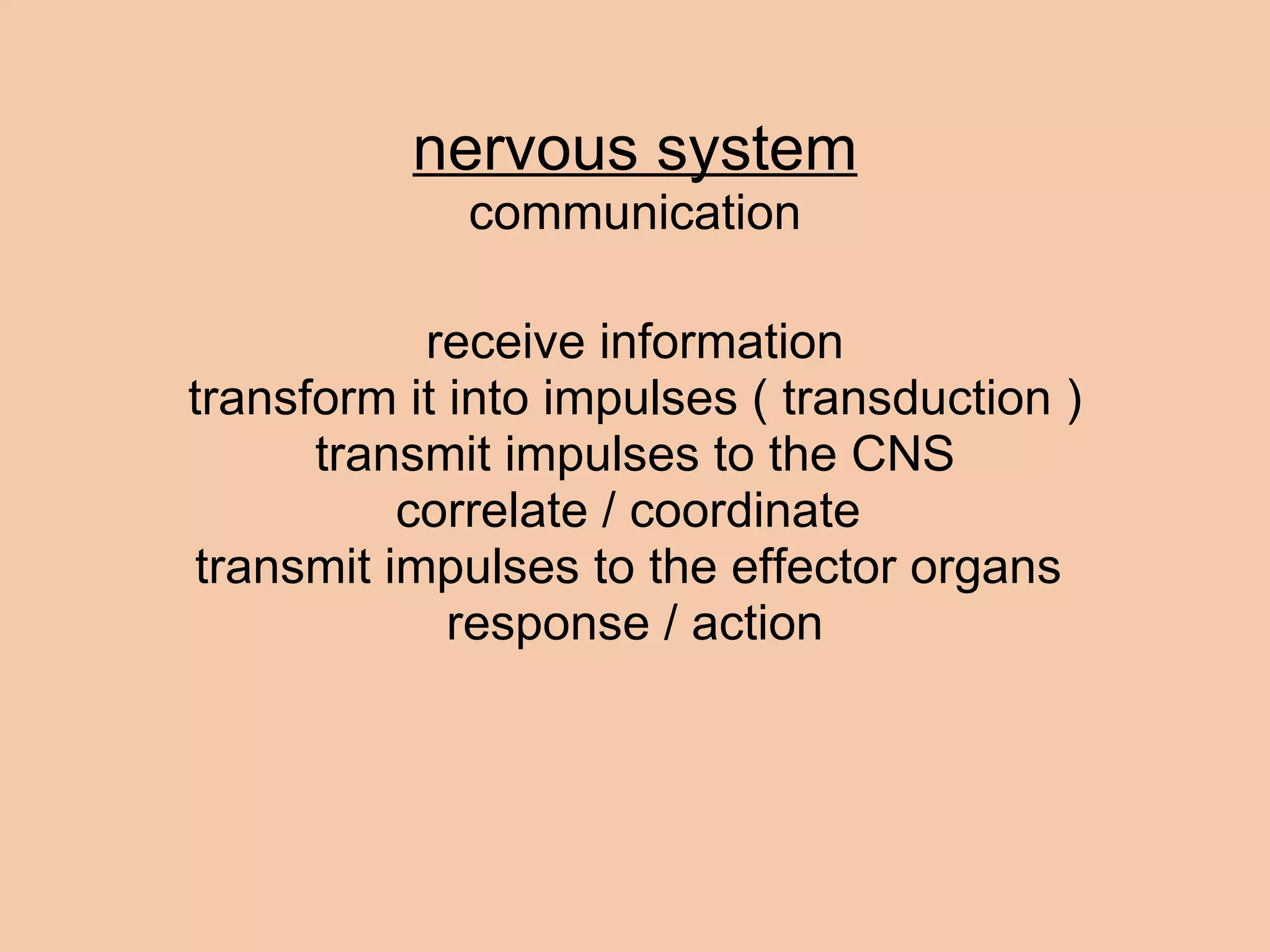 nervous system communication receive information transform it into impulses ( transduction ) transmit impulses to the CNS correlate / coordinate  transmit impulses to the effector organs  response / action 