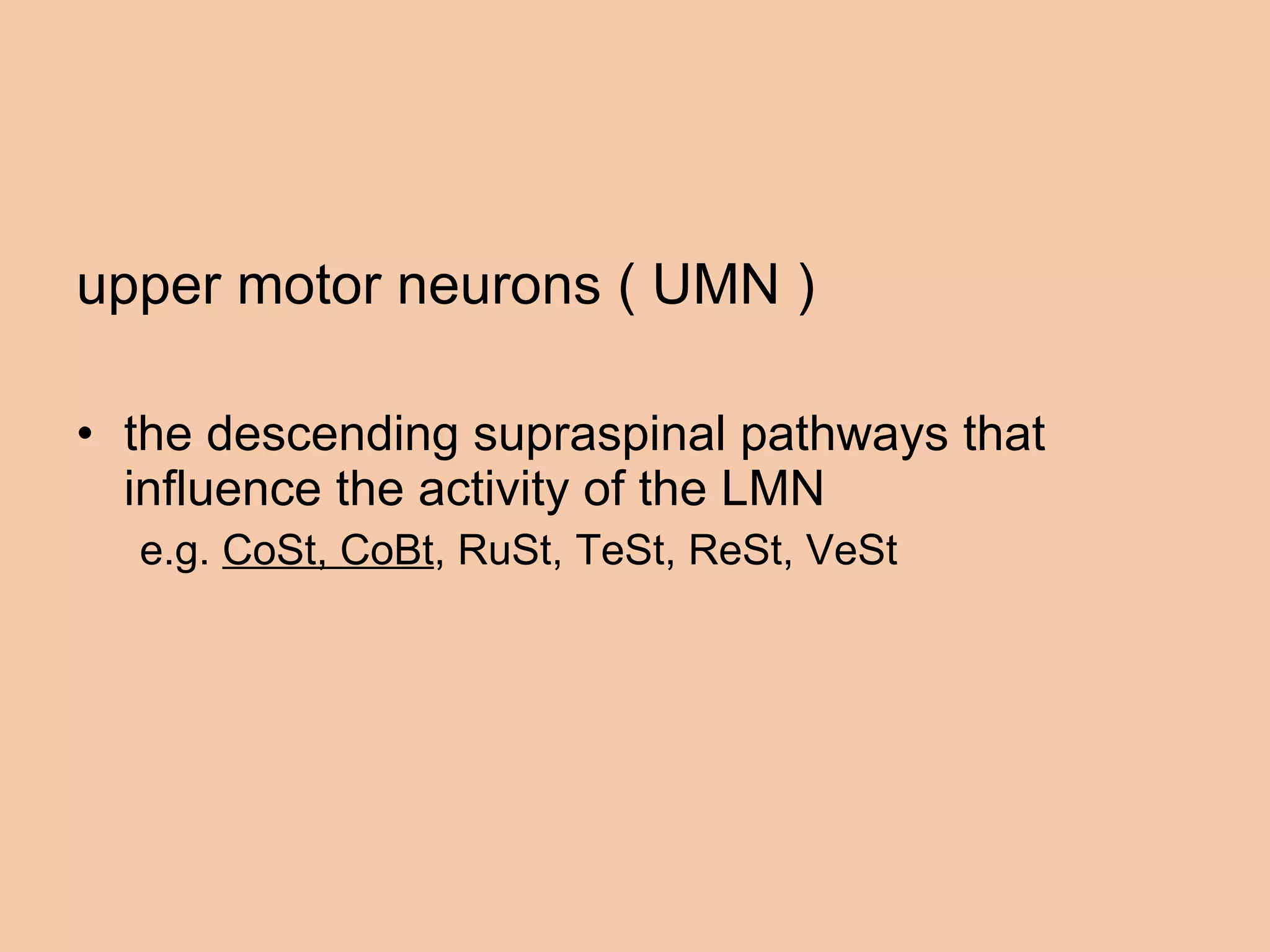 upper motor neurons ( UMN ) the descending supraspinal pathways that influence the activity of the LMN  e.g.  CoSt, CoBt , RuSt, TeSt, ReSt, VeSt  