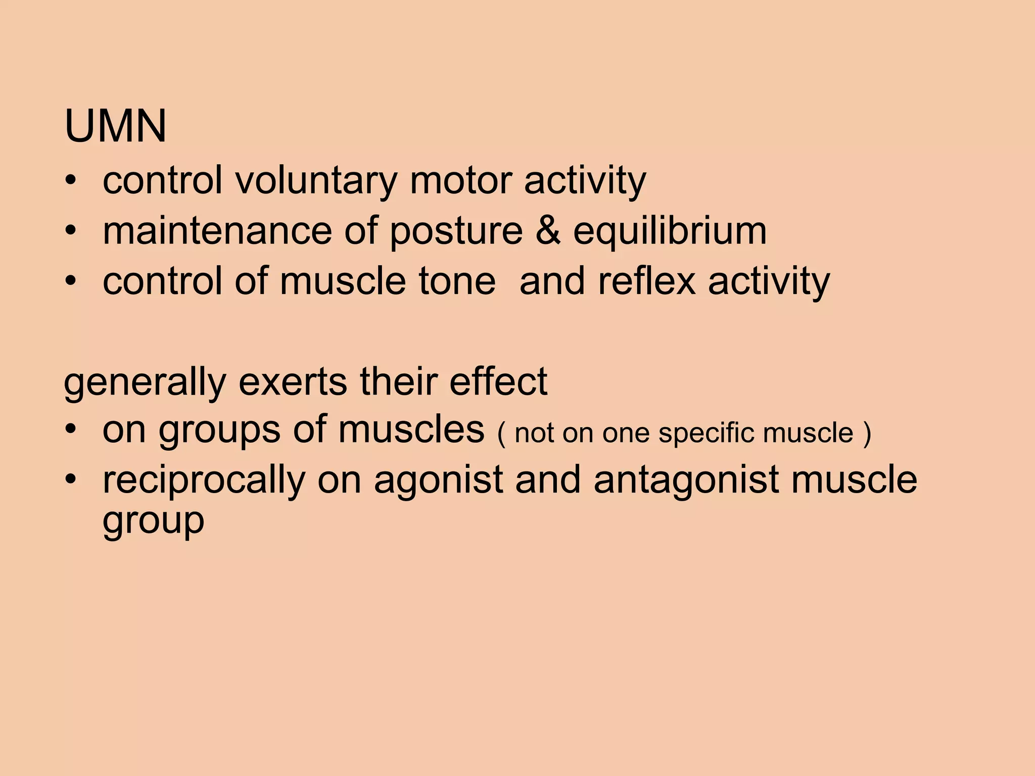 UMN control voluntary motor activity maintenance of posture & equilibrium  control of muscle tone  and reflex activity generally exerts their effect  on groups of muscles  ( not on one specific muscle )  reciprocally on agonist and antagonist muscle group  