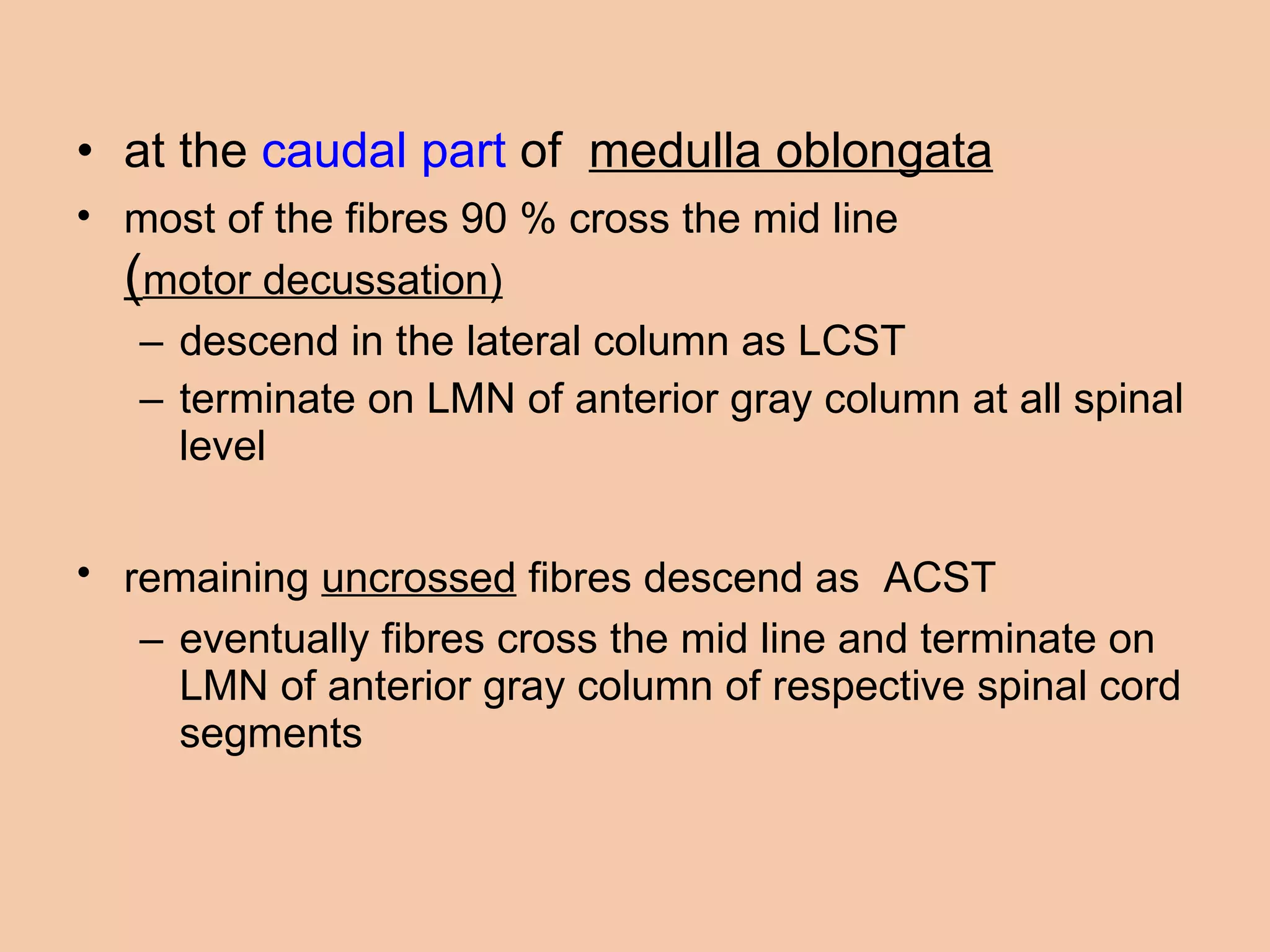 at the  caudal part  of  medulla oblongata most of the fibres 90 % cross the mid line   ( motor decussation) descend in the lateral column as LCST terminate on LMN of anterior gray column at all spinal level  remaining  uncrossed  fibres descend as  ACST   eventually fibres cross the mid line and terminate on LMN of anterior gray column of respective spinal cord segments  