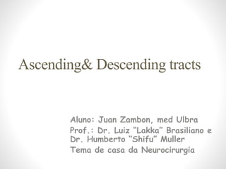 Ascending& Descending tracts
Aluno: Juan Zambon, med Ulbra
Prof.: Dr. Luiz “Lakka” Brasiliano e
Dr. Humberto “Shifu” Muller
Tema de casa da Neurocirurgia
 