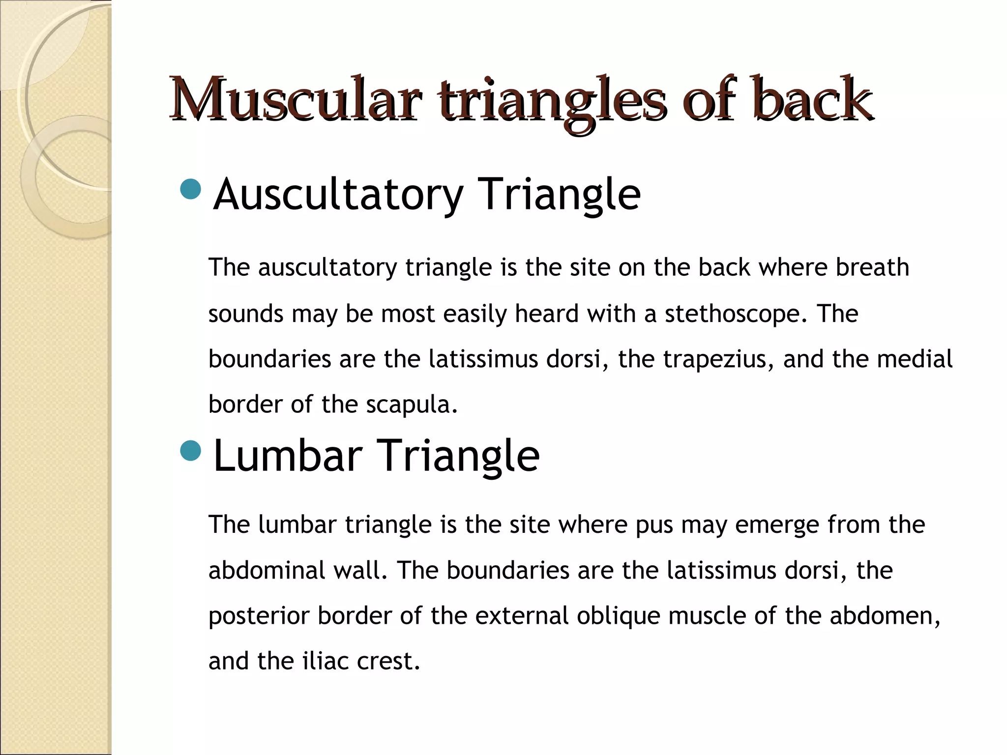 Anatomy of back | PPT