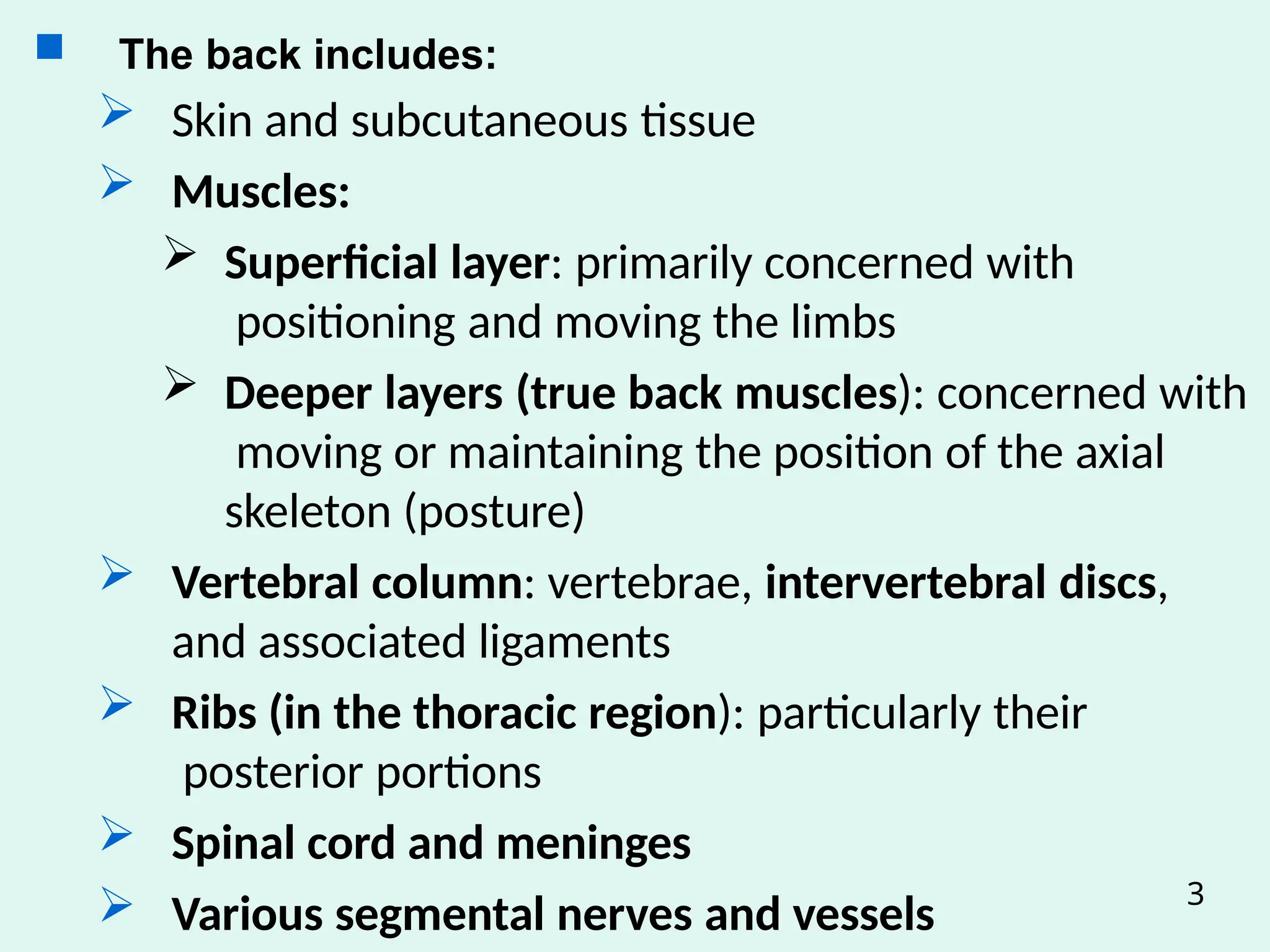 Anatomy of back for Post G402021 (2).pptx