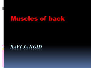 RAVI JANGID
Muscles of back
 