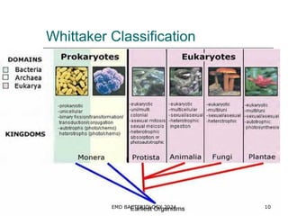 ANATOMY OF BACTERIAL CELL [Autosaved].ppt